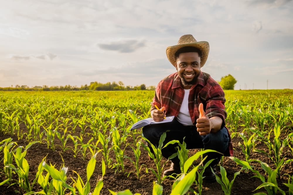 Farmer in field