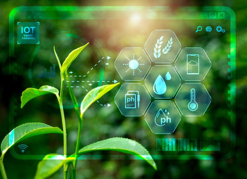 Tech plant illustration